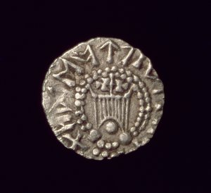 Thrymsa, type runique 